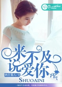 來不及說愛你小說