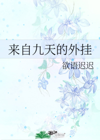 來自九天的外掛小說