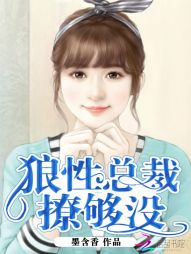狼性總裁，撩夠沒小說