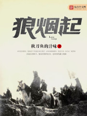 狼煙起小說