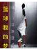 籃球我的夢小說