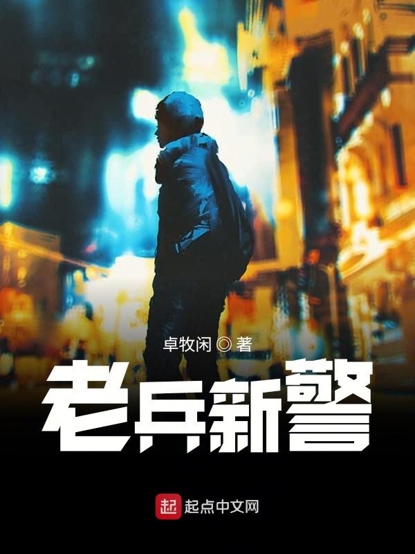老兵新警小說