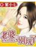 老婆,別玩了小說