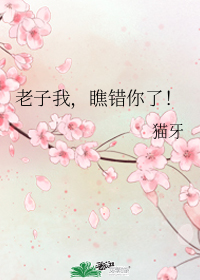 老子我，瞧錯你了！小說