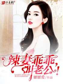辣妻乖乖，叫老公！小說