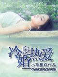 冷婚熱愛小說