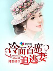 冷麪首席追逃妻小說