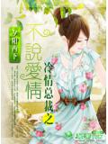 冷情總裁之不說愛情小說