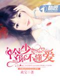 冷少，你不懂愛小說