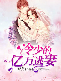 冷少的億萬逃妻小說