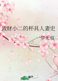 斂財小二的杯具□□史小說