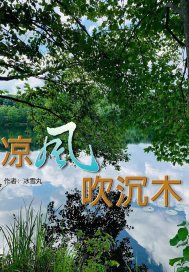 涼風吹沉木小說