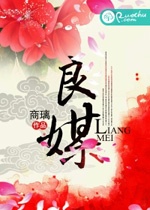 良媒小說