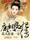 良人在水一方：康熙良妃傳小說