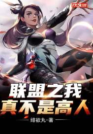 聯盟之我真不是高人小說