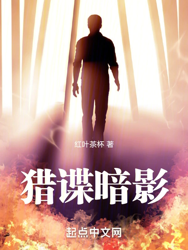 獵諜暗影小說