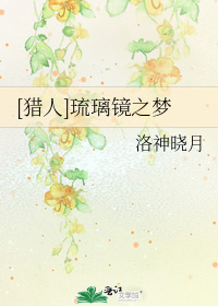 [獵人]琉璃鏡之夢小說