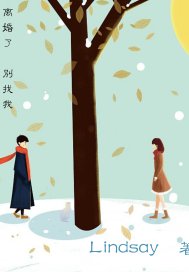 離婚了，別找我小說