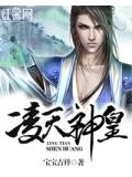 凌天神皇小說