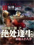 劉和闖三國之絕處逢生小說