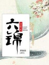 六錦宮燈記小說