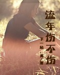 流年傷不傷小說