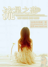 流星之戀小說