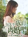 厲先生我們離婚吧小說