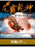 龍霸乾坤小說