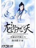 龍衍九化天小說