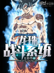龍珠戰鬥系統小說