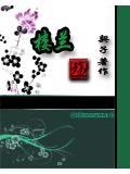 樓蘭殤小說