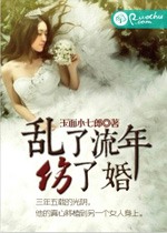 亂了流年傷了婚小說