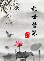 亂世情深小說