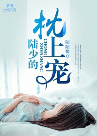 陸少的枕上寵小說