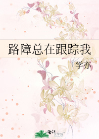路障總在跟蹤我小說