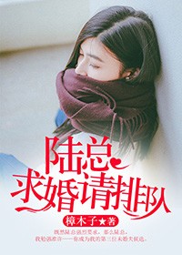 陸總，求婚請排隊小說
