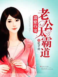 掠愛奪寵：老公太霸道小說