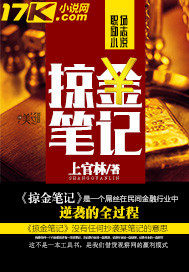 掠金筆記小說