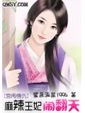 麻辣王妃鬧翻天小說