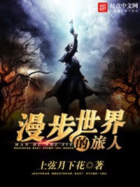 漫步世界的旅人小說
