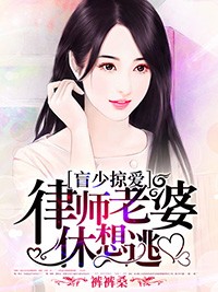 盲少掠愛：律師老婆休想逃小說