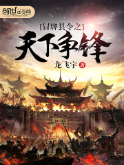 冒牌縣令之天下爭鋒小說