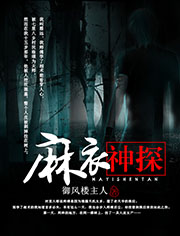 麻衣神探小說