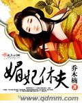媚妃休夫小說