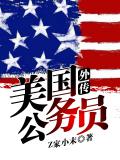 美國公務員外傳小說