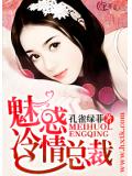 魅惑冷情總裁小說