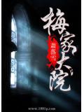 梅家大院小說