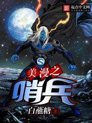 美漫之哨兵小說