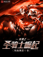 美漫之聖騎士崛起小說